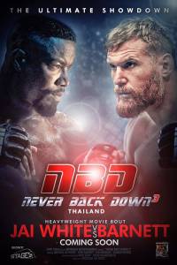 Niekada nepasiduok 3 / Never Back Down: No Surrender (2016)