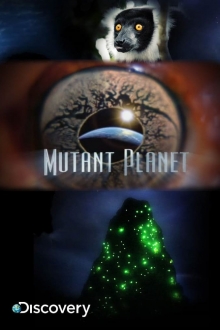 Besikeičianti planeta 2 sezonas online