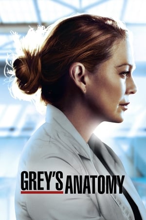 Grey anatomija 14 Sezonas Online