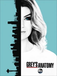 Grei anatomija (13 Sezonas) / Grey's Anatomy (Season 13) (2016)