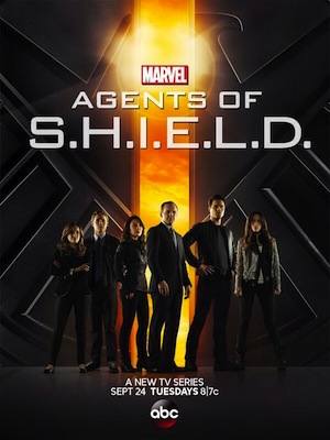 Agentūra S.K.Y.D.A.S. (1 Sezonas) / Agents of S.H.I.E.L.D. (Season 1) (2013)