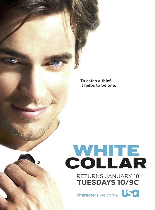 Aferistas (2 Sezonas) / White Collar (Season 2) (2010)