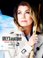 Grey anatomija (12 Sezonas) / Grey's Anatomy (Season 12) (2016)