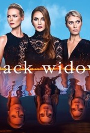 Juodosios našlės (2 Sezonas) / Black Widows (Season 2) (2017)