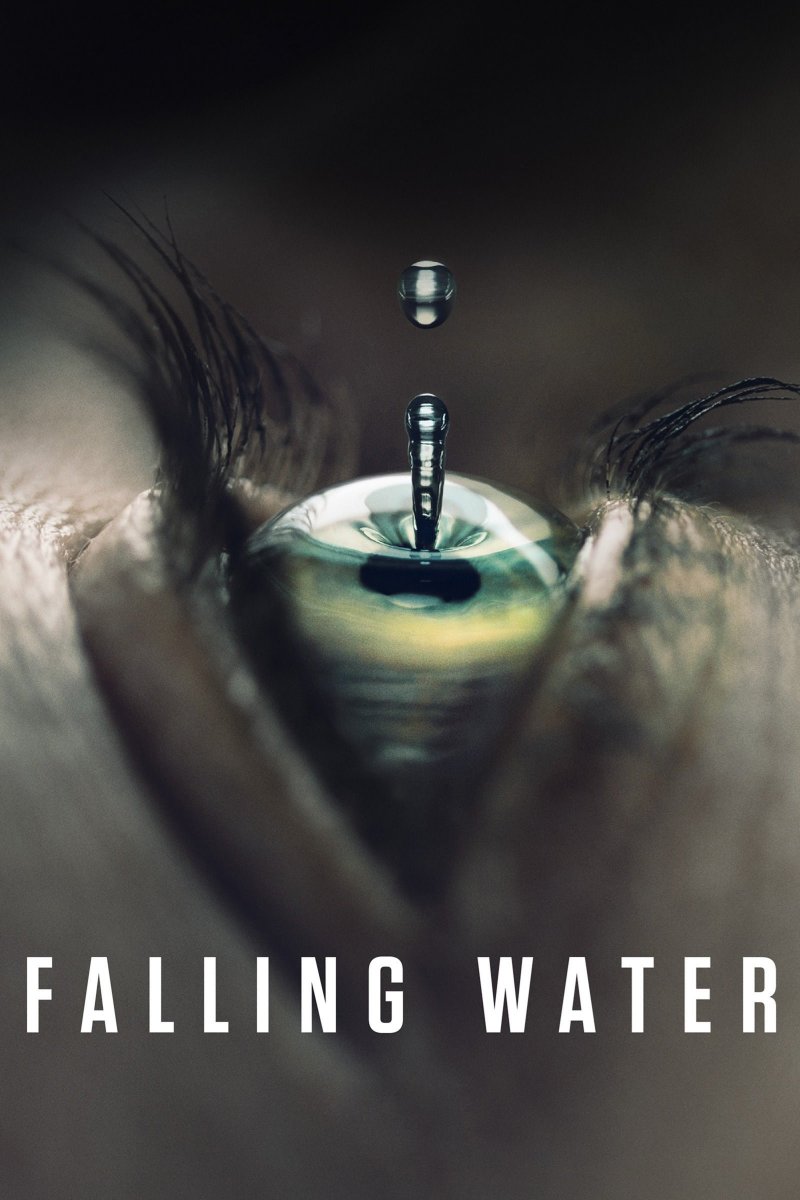 Krentantis vanduo (1 Sezonas) / Falling Water (Season 1) (2016)