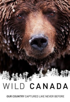 Atšiaurioji Kanada (1 Sezonas) / Wild Canada (Season 1) (2014)