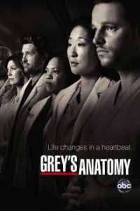 Grey anatomija 8 sezonas online