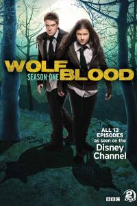 Vilko kraujas 1 sezonas online