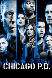 Čikagos policija 7 sezonas online