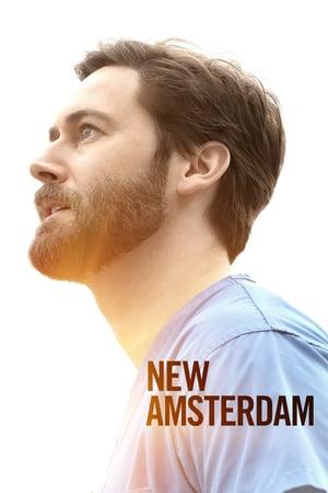 Naujasis Amsterdamas 4 sezonas online