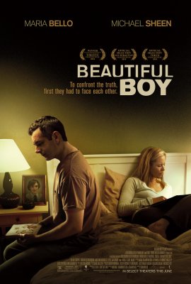 Nuostabus berniukas / Beautiful Boy (2010)