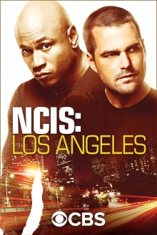 Specialioji Los Andželo policija 11 sezonas online