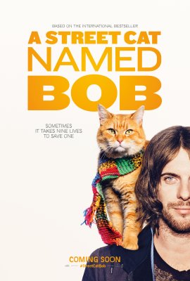 Benamis katinas vardu Bobas Online