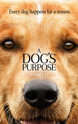 Šuns tikslas / Dog's Purpose (2017)