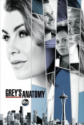 Grei anatomija (14 Sezonas) / Grey's Anatomy (Season 14) (2017)