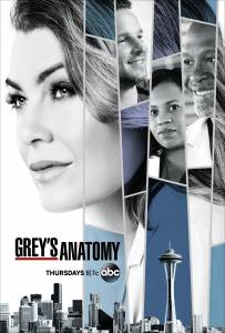 Grey anatomija 9 sezonas online